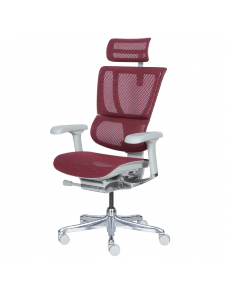 Ергономичен стол ERGOHUMAN IOO ELITE 2 - сива рамка - червен