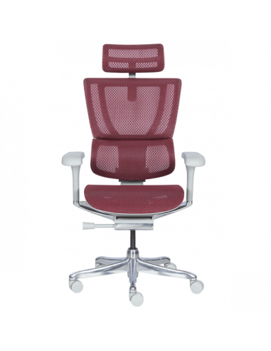 Ергономичен стол ERGOHUMAN IOO ELITE 2 - сива рамка - червен