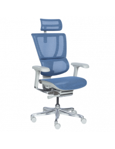 Ергономичен стол ERGOHUMAN IOO ELITE 2 - сива рамка - син