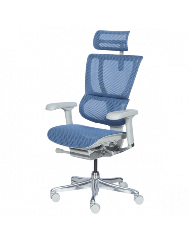 Ергономичен стол ERGOHUMAN IOO ELITE 2 - сива рамка - син