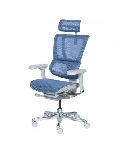 Ергономичен стол ERGOHUMAN IOO ELITE 2 - сива рамка - син