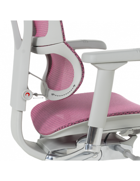 Ергономичен стол ERGOHUMAN IOO ELITE 2 - сива рамка - розов