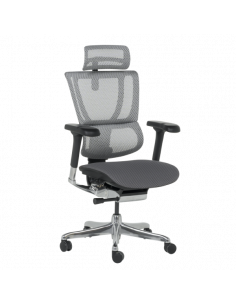 Ергономичен стол ERGOHUMAN IOO ELITE 2 - черна рамка - сив