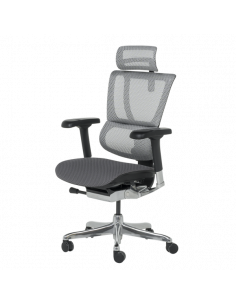 Ергономичен стол ERGOHUMAN IOO ELITE 2 - черна рамка - сив 2