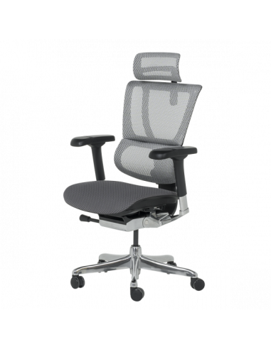 Ергономичен стол ERGOHUMAN IOO ELITE 2 - черна рамка - сив