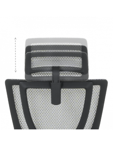 Ергономичен стол ERGOHUMAN IOO ELITE 2 - черна рамка - сив