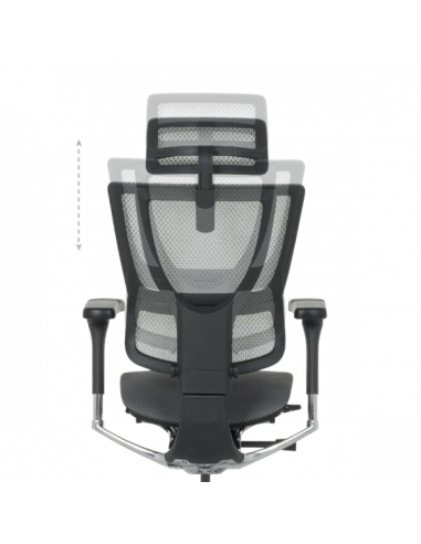 Ергономичен стол ERGOHUMAN IOO ELITE 2 - черна рамка - сив