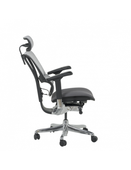 Ергономичен стол ERGOHUMAN IOO ELITE 2 - черна рамка - сив