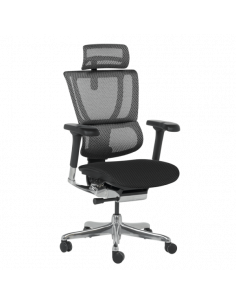 Ергономичен стол ERGOHUMAN IOO ELITE 2 - черна рамка - черен