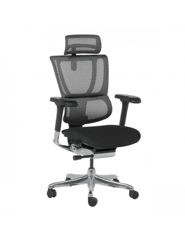 Ергономичен стол ERGOHUMAN IOO ELITE 2 - черна рамка - черен