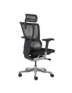 Ергономичен стол ERGOHUMAN IOO ELITE 2 - черна рамка - черен 2