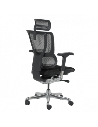 Ергономичен стол ERGOHUMAN IOO ELITE 2 - черна рамка - черен