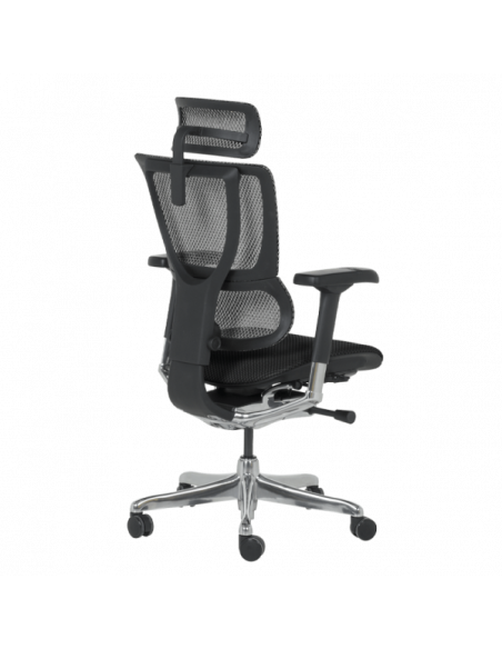 Ергономичен стол ERGOHUMAN IOO ELITE 2 - черна рамка - черен