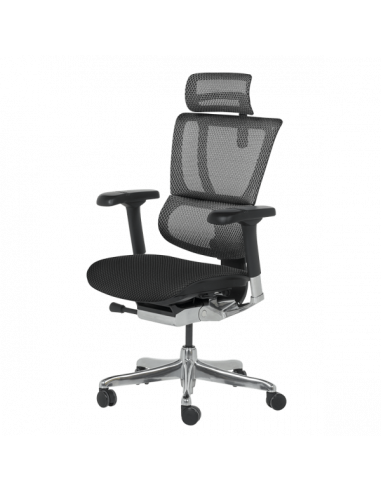 Ергономичен стол ERGOHUMAN IOO ELITE 2 - черна рамка - черен