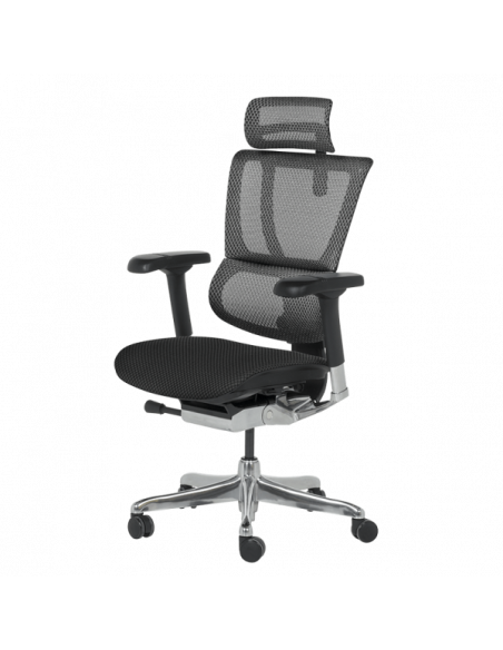 Ергономичен стол ERGOHUMAN IOO ELITE 2 - черна рамка - черен