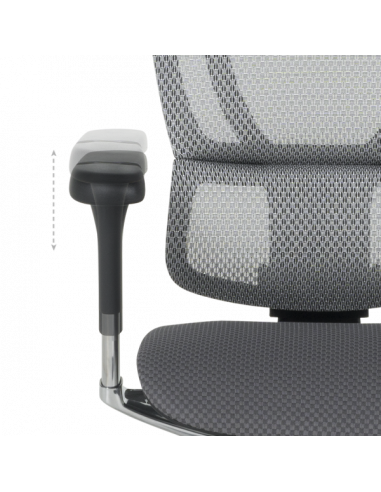 Ергономичен стол ERGOHUMAN IOO ELITE 2 - черна рамка - черен