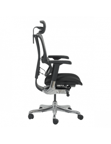 Ергономичен стол ERGOHUMAN IOO ELITE 2 - черна рамка - черен