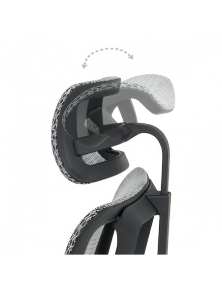 Ергономичен стол ERGOHUMAN IOO ELITE 2 - черна рамка - черен