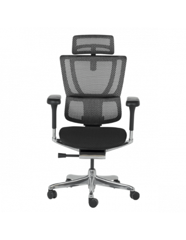 Ергономичен стол ERGOHUMAN IOO ELITE 2 - черна рамка - черен