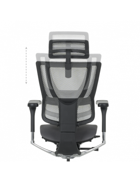 Ергономичен стол ERGOHUMAN IOO ELITE 2 - черна рамка - черен