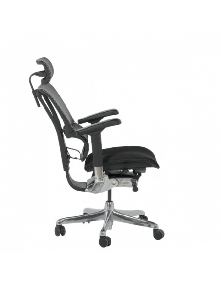 Ергономичен стол ERGOHUMAN IOO ELITE 2 - черна рамка - черен