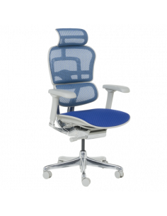 Ергономичен стол ERGOHUMAN ELITE 2 - сива рамка - син