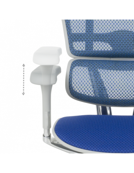 Ергономичен стол ERGOHUMAN ELITE 2 - сива рамка - син