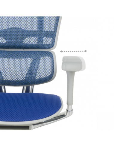 Ергономичен стол ERGOHUMAN ELITE 2 - сива рамка - син