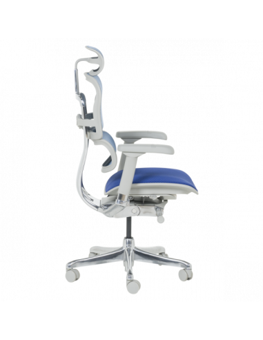 Ергономичен стол ERGOHUMAN ELITE 2 - сива рамка - син