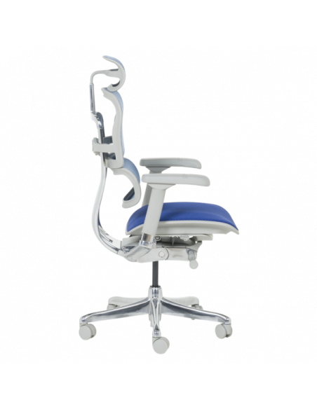 Ергономичен стол ERGOHUMAN ELITE 2 - сива рамка - син