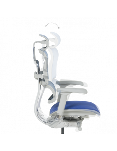 Ергономичен стол ERGOHUMAN ELITE 2 - сива рамка - син