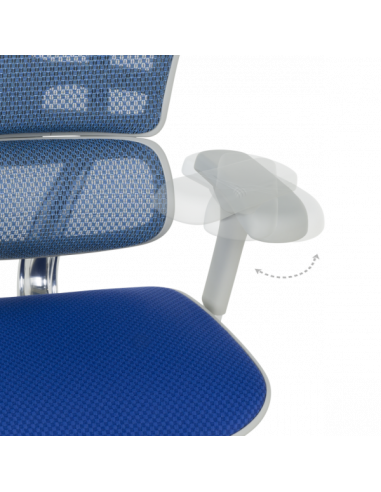 Ергономичен стол ERGOHUMAN ELITE 2 - сива рамка - син