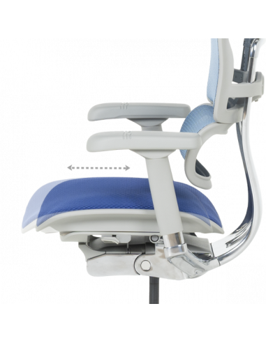 Ергономичен стол ERGOHUMAN ELITE 2 - сива рамка - син