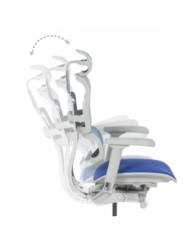 Ергономичен стол ERGOHUMAN ELITE 2 - сива рамка - син