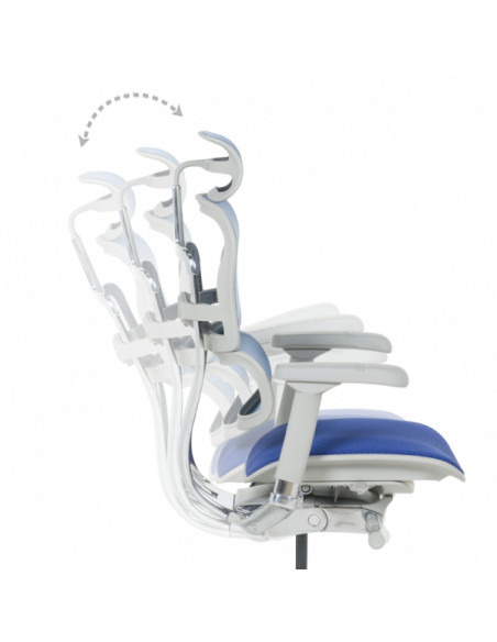 Ергономичен стол ERGOHUMAN ELITE 2 - сива рамка - син