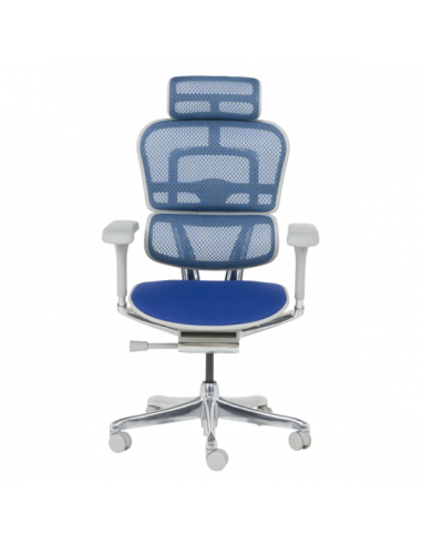 Ергономичен стол ERGOHUMAN ELITE 2 - сива рамка - син