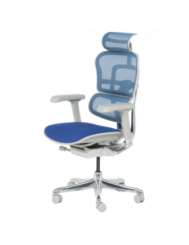 Ергономичен стол ERGOHUMAN ELITE 2 - сива рамка - син