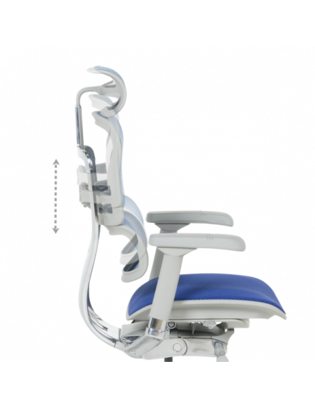 Ергономичен стол ERGOHUMAN ELITE 2 - сива рамка - син