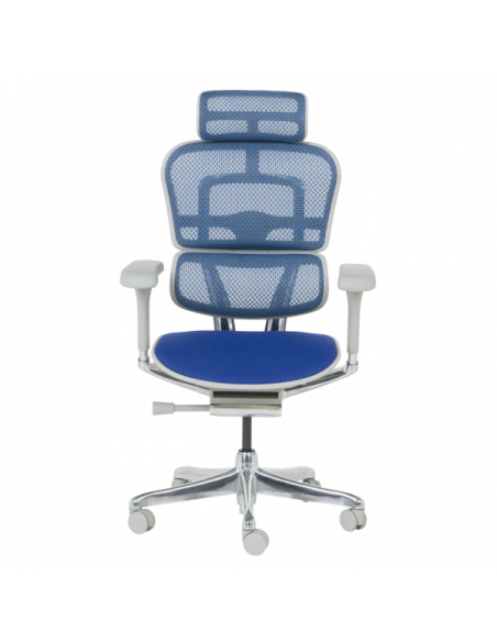 Ергономичен стол ERGOHUMAN ELITE 2 - сива рамка - син