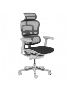 Ергономичен стол ERGOHUMAN ELITE 2 - сива рамка - черен