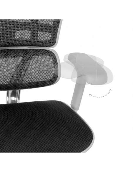 Ергономичен стол ERGOHUMAN ELITE 2 - сива рамка - черен