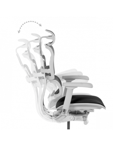 Ергономичен стол ERGOHUMAN ELITE 2 - сива рамка - черен