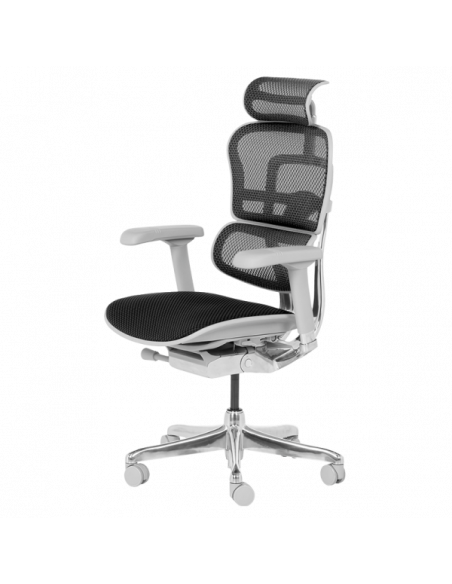 Ергономичен стол ERGOHUMAN ELITE 2 - сива рамка - черен