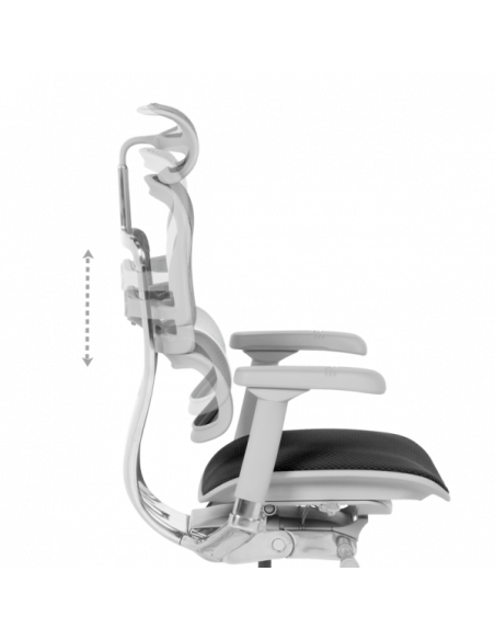 Ергономичен стол ERGOHUMAN ELITE 2 - сива рамка - черен