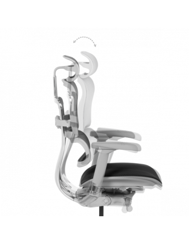 Ергономичен стол ERGOHUMAN ELITE 2 - сива рамка - черен