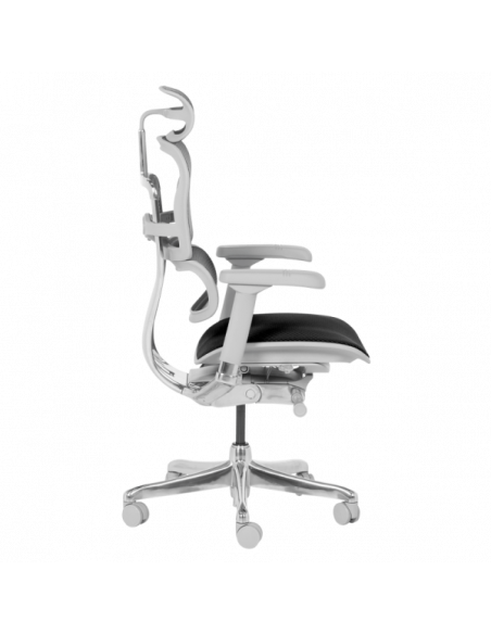 Ергономичен стол ERGOHUMAN ELITE 2 - сива рамка - черен