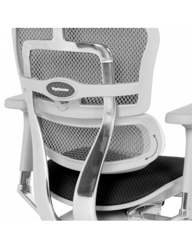 Ергономичен стол ERGOHUMAN ELITE 2 - сива рамка - черен