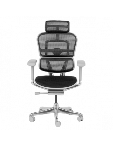 Ергономичен стол ERGOHUMAN ELITE 2 - сива рамка - черен