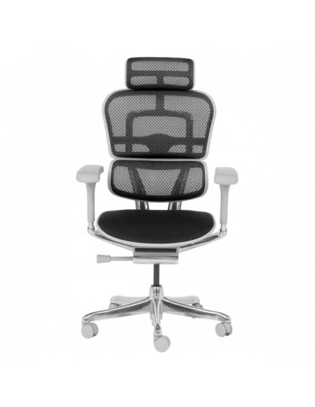 Ергономичен стол ERGOHUMAN ELITE 2 - сива рамка - черен