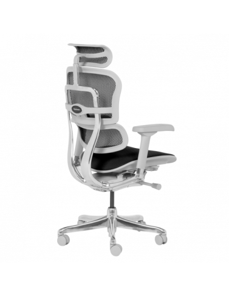 Ергономичен стол ERGOHUMAN ELITE 2 - сива рамка - черен